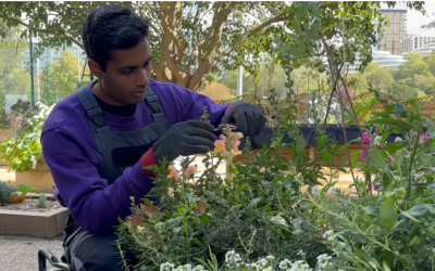 Thrive’s gardening sessions helped Arun rebuild the skills he needed to succeed and ‘take on the world again’